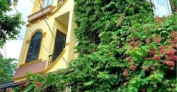 Nhà Đất Thánh Phường 6 Quận Tân Bình.