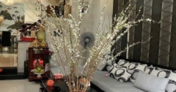 Nhà đẹp 4 tầng HXH Quang Trung P11– Gò Vấp, 67m², cho thuê 144 triệu/năm, 7xT.ỷ TL!