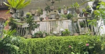 **Bán nhà HXH Trương Công Định** p14 Tân Bình; 4,2*23, 2 tầng