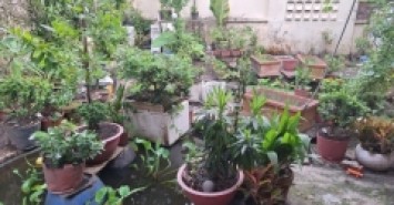 Bán nhà ngõ Trần Quang Khải, Hiệp Phú, Q.9, 160m2, 3 tầng, 3PN, SH, 11.35 tỷ.