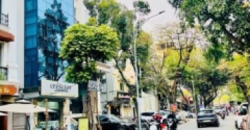 Bán nhà mặt phố Nguyễn Khang - 95m * 8Tầng Thang Máy Vỉa hè View Sông Tô Lịch Thơ Mộng KDVP