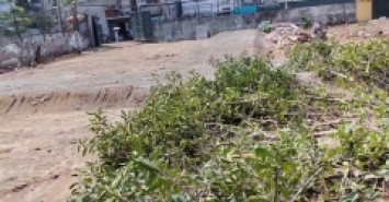 Bán 31 lô đất giải phóng phân lô 2 thoáng ô tô hoàng mai