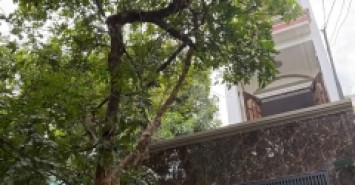 Nhà hẻm 306/4 Thống Nhất, Phường 16, Gò Vấp, Hẻm 3,5m, 4,35x17,5m, Cn 61 m2, trệt 3 lầu, ST, 8PN, 8WC, Nội thất, Thu nhập 25tr/tháng, Đã Full phòng, 4,97 tỷ Chốt