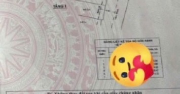 Nhà hẻm 310/38 Phạm Văn Chiêu, Phường 9, Gò Vấp, Hẻm 6m thông, 4x26m, Cn 102,3 m2, Cấp 4, 8,9 tỷ TL