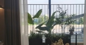 Nhà đầu tư thông minh luôn tìm tài sản 