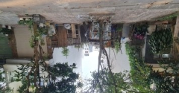 234m2 Khu đấu giá 31ha, Trâu Quỳ, Gia Lâm. Mt 12m. Đường 15m.  3x tiểu học. Lh 0989894845