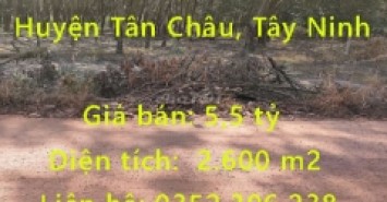 Chính chủ cần bán lô Đất sổ đỏ ấp 5 xã suối Ngô, Huyện Tân Châu, Tây Ninh