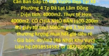 Cần Bán Gấp Lô Đất Vườn Đẹp Tại Xã Phường 4 Tp Đà Lạt Lâm Đồng