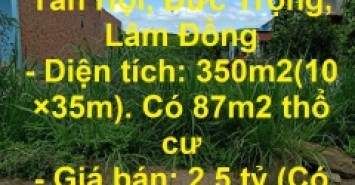 Sở Hữu Ngay Lô Đất Vị Trí Đắc Địa Tại Xã  Tân Hội, Đức Trọng, Lâm Đồng