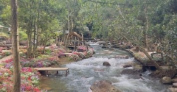 Đất nền Đà Lạt bán cắt lỗ, vị trí đẹp, phù hợp làm nhà kính, Homestay cho thuê.