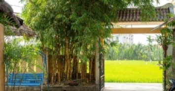 Cơ hội vàng để sở hữu căn Homestay rộng 400m2 nằm trên phường Cẩm Thanh Hội An Đà Nẵng