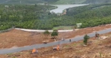 BÁN NHANH 1 SÀO ĐẤT VƯỜN LỌC ĐỨC