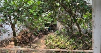 BÁN 150m Đất Hạ Trại ( Thống Nhất ) Long Biên   MT 9m , oto ,KD,giá 12,5 ty .