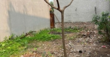 Bán đất tổ 7, Quang Minh, Mê Linh. Gần đường Võ Văn Kiệt và khu công nghiệp