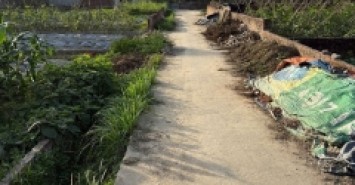 Bán đất thôn Bắc Thượng, Quang Tiến, Sóc Sơn, HN. Gần đường DT 131 và sân bay Nội Bài