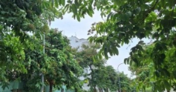 153m đất KDC Bộ Công An, 11.5 tỷ, sổ riêng, xây dựng ngay