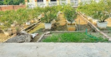 Bán đất Thôn Trung Hậu Đoài, Tiền Phong, Mê Linh - Sổ đỏ chính chủ, vị trí đắc địa