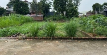 Đón Đầu Xu Hướng - Đất Nền Thạch Đà, Mê Linh - Vị Trí Trung Tâm, Giá Hấp Dẫn