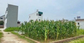 Bán Gấp Lô Góc 3 Mặt Thoáng – Tổ Dân Phố Số 10, Thị Trấn Quang Minh, Mê Linh, Hà Nội