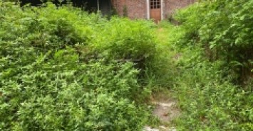 Bán đất Mai Lâm Đông Anh- Hàng xóm Vin Cổ Loa- Trục lên Cầu Tứ Liên- oto- 50m-5,x tỷ