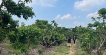 . ĐẤT NỀN CHŨ BẮC NINH GIÁ 450 TRIỆU  420M2  TIỆN ÍCH SẴN  Nguyễn Hùng BĐS - 0989333012