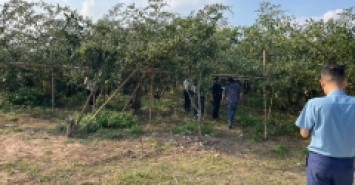 ĐẤT NỀN CHŨ BẮC NINH GIÁ 480 TRIỆU  400M2  GẦN KHU DÂN CƯ  Nguyễn Hùng BĐS - 0989333012