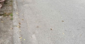 Bán nhà vị trí đẹp ngõ 48 đường Ngô Gia Tự - Long Biên - HN.