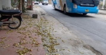 Bán nhà đường Hoàng Hoa Thám - Thụy Khuê - Tây Hồ. Diện tích : 36m2 * 5 tầng. MT : 3.5 M. Thang máy, nhà đẹp về ở luôn.