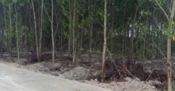 Bán 1148m2 đất Tân Xuân - Hàm Tân chỉ 400 triệu/ sào đường bê tông 6m