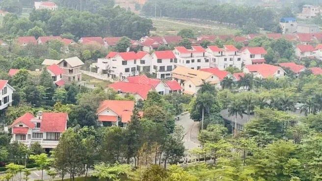 Công ty TNHH Holaland Hà Nội