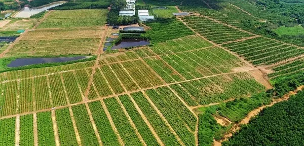 Công ty Cổ phần Tư vấn Đầu tư Sàn G7