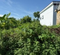 Đất hiếm trung tâm Bàng La – giá chỉ hơn 8xx triệu, đầu tư cực sáng!  ZALO 0567 222 555