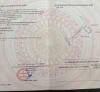 Đất ô tô vào tận nơi – Trung tâm Tân Phong, Kiến Thụy  Giá chỉ nhỉnh 6xx triệu  ZALO 0567 222 555