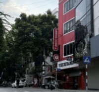 CỰC HIẾM - nhà phố Phan Kế Bính, kinh doanh đỉnh - lô góc 45m2 CHỈ 19T