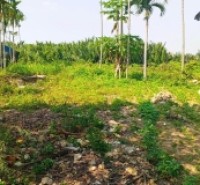 Chủ kẹt tiền cần bán lô đất tại MT đường DX 017 có 1000 m² đất ở., Cẩm Thanh giá 20 tỷ